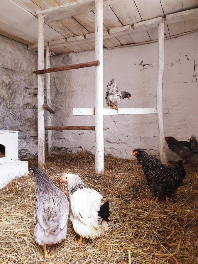 Die Alm In Schoellbuechl, Privatzimmer Sankt Martin  Luaran gambar